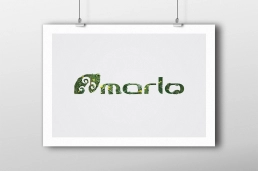 brand image, marlo giardini verticali, sito web, catalogo, realizzazione logo
